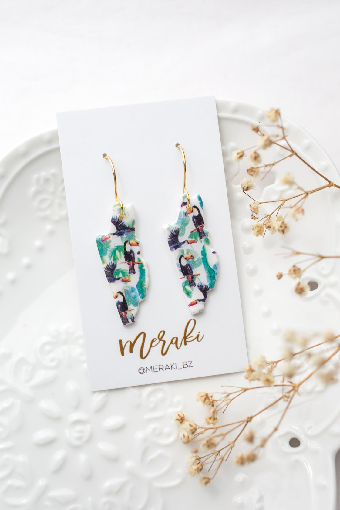 Belize map (toucans)