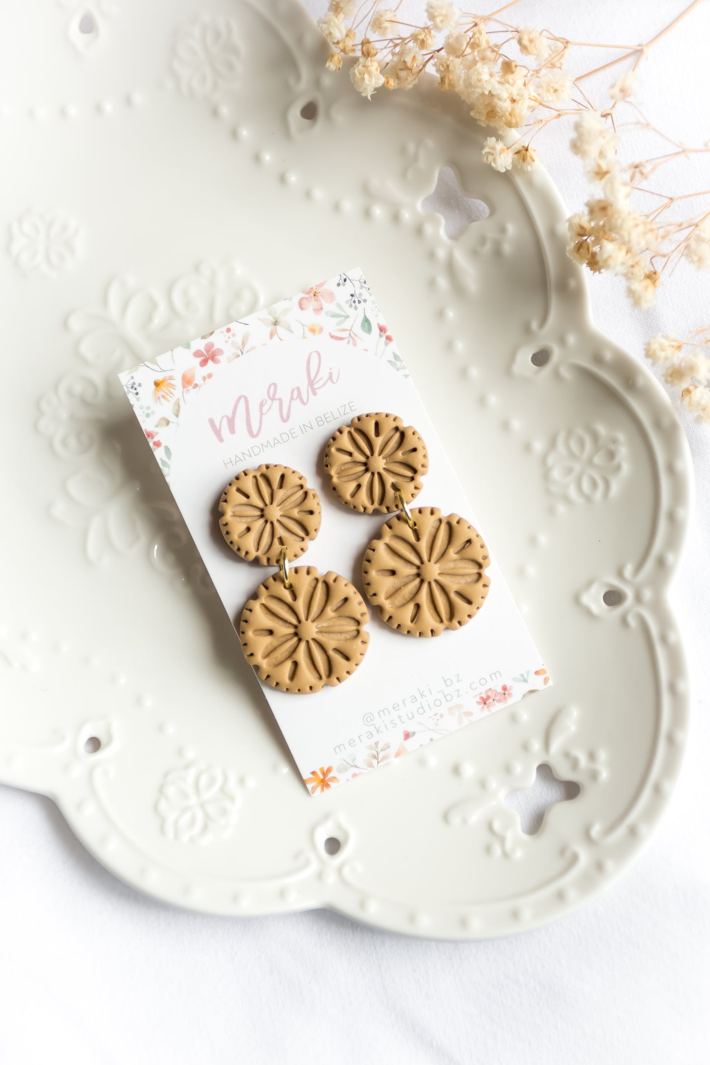 Sand dollar
