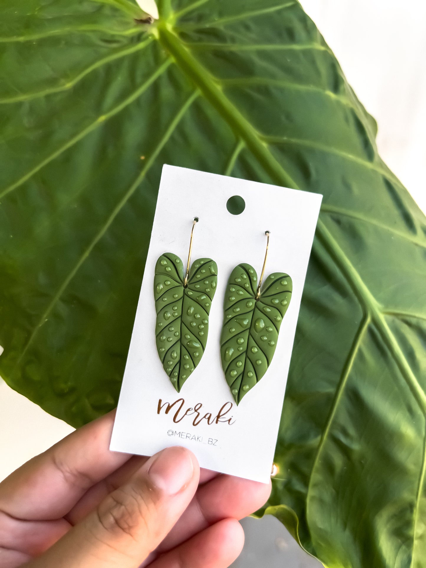 Philodendron Leaf (dew)