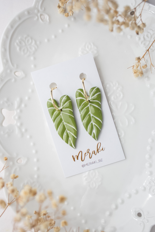 Philodendron (variegated)