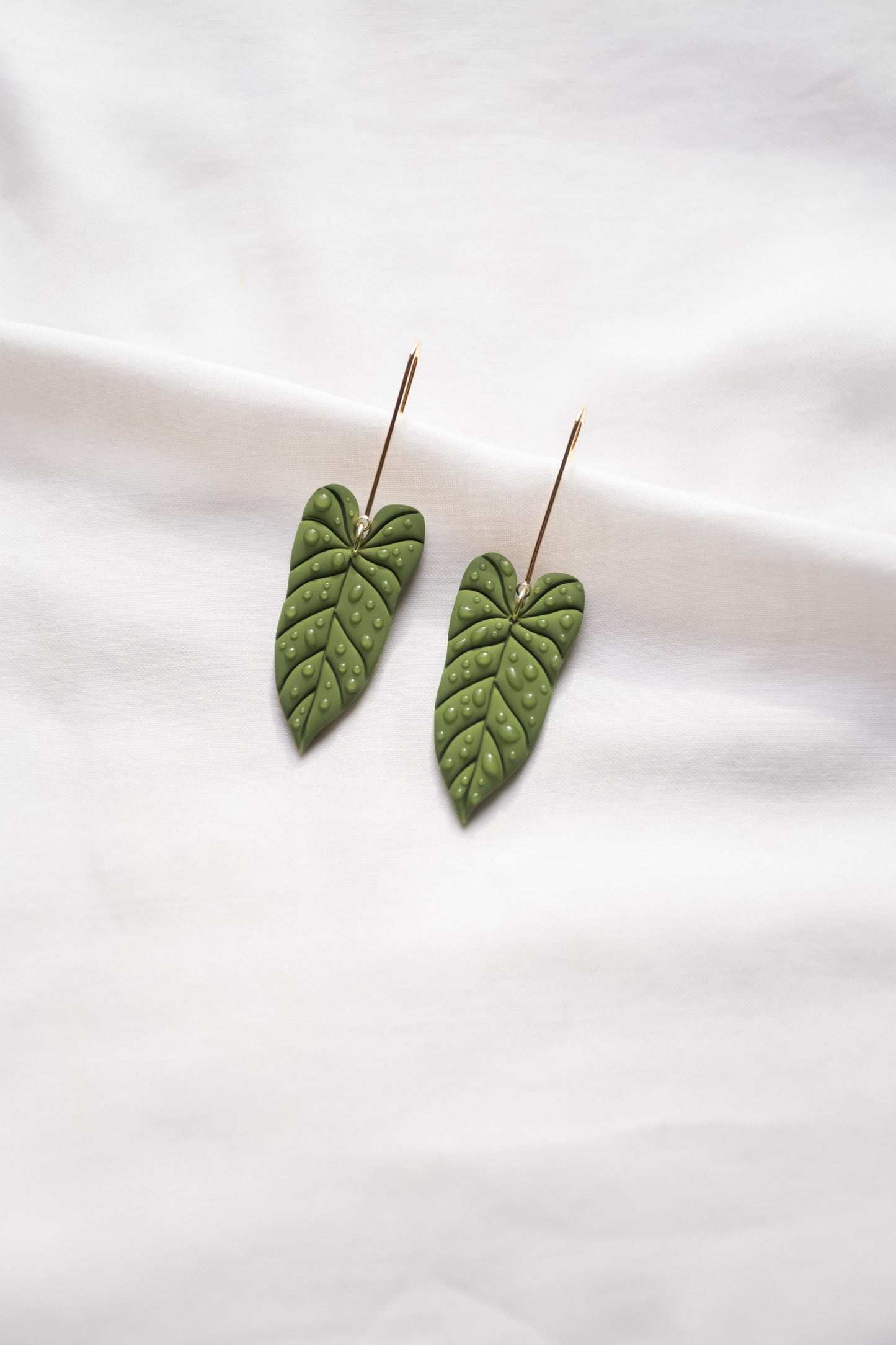 Philodendron Leaf (dew)