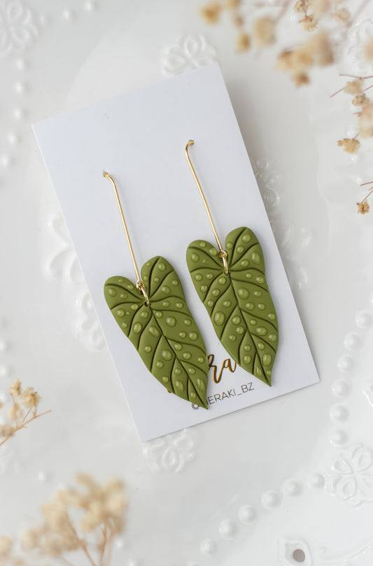 Philodendron Leaf (dew)