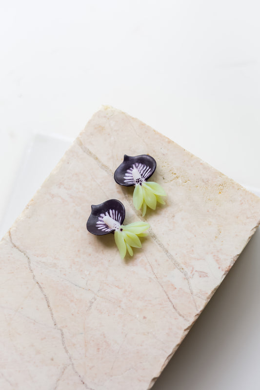 Black Orchid