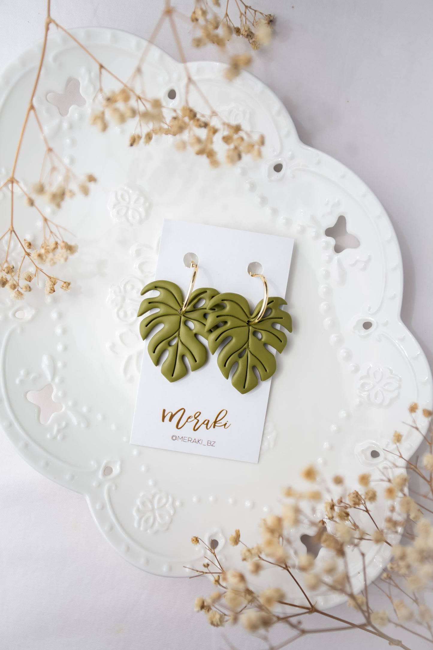 Monstera