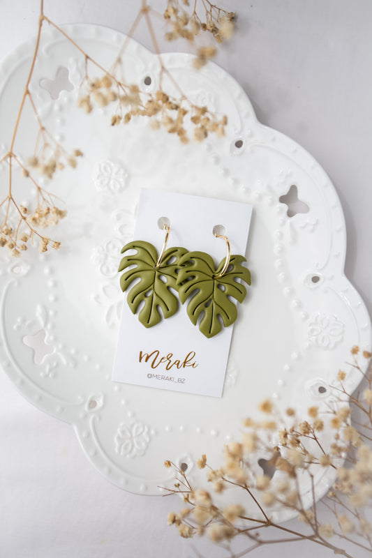 Monstera
