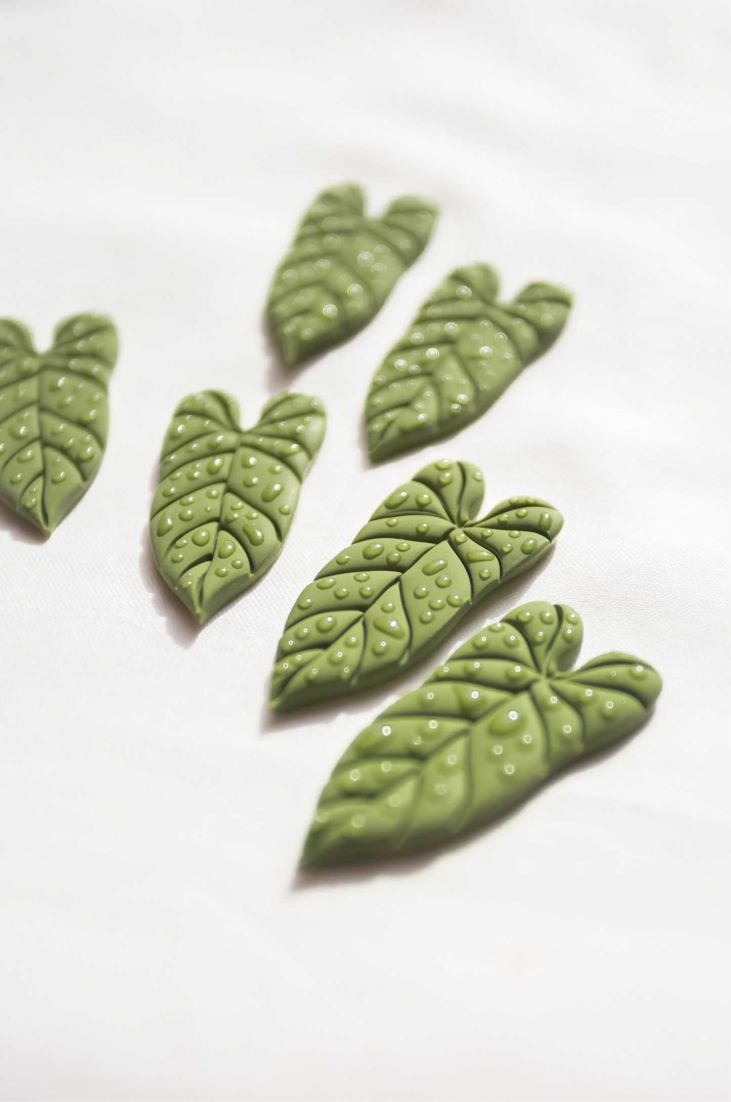 Philodendron Leaf (dew)