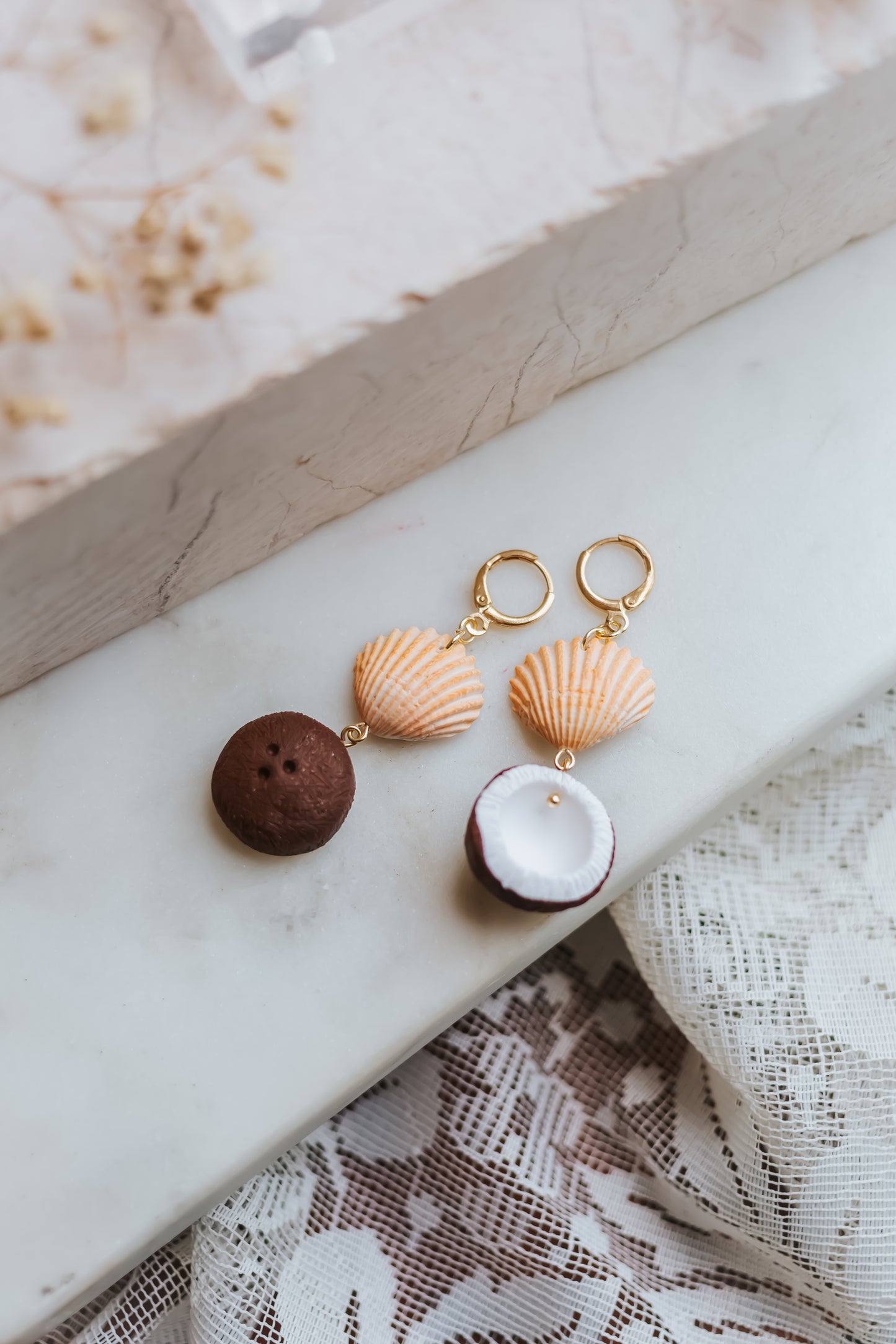 Shell & Coconut