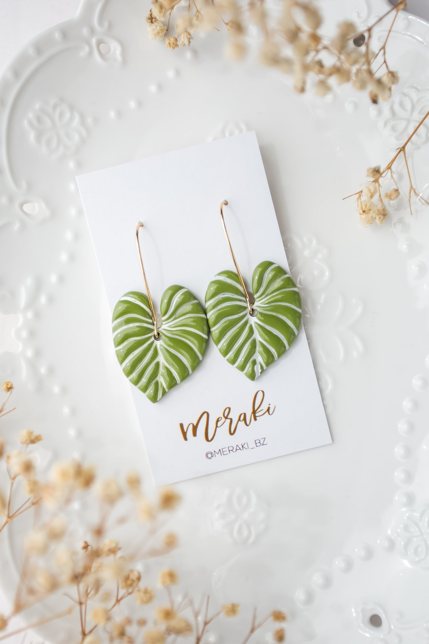 Philodendron gloriosum