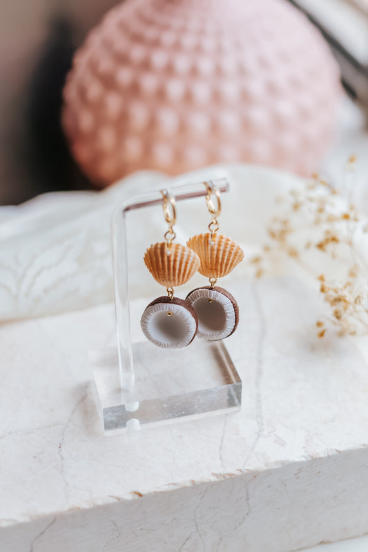 Shell & Coconut